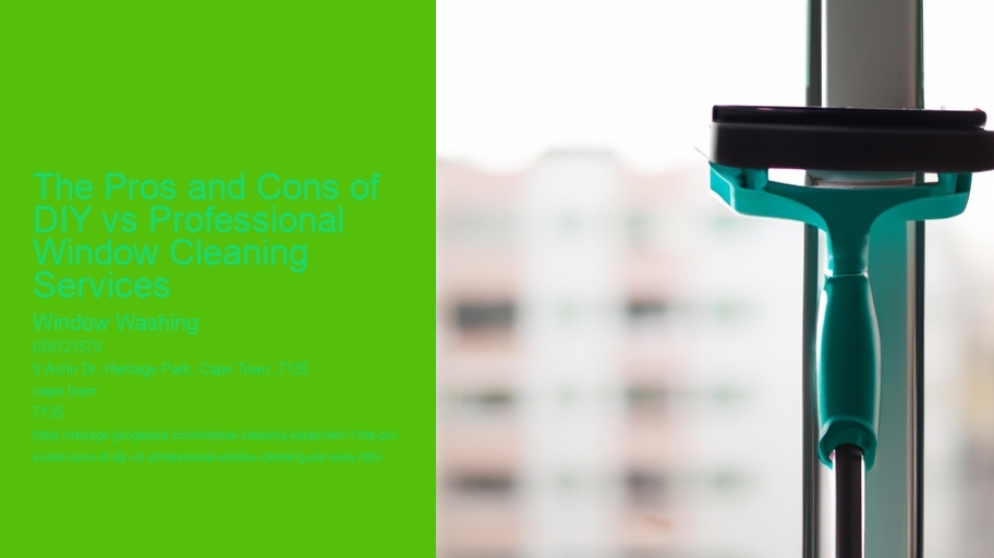 The Pros and Cons of DIY vs Professional Window Cleaning Services 