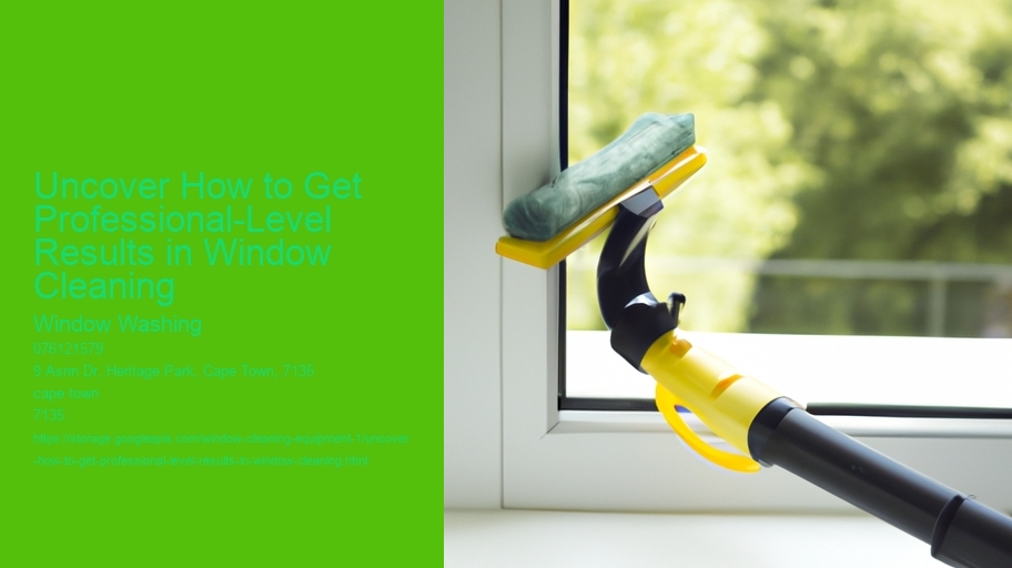 Uncover How to Get Professional-Level Results in Window Cleaning 