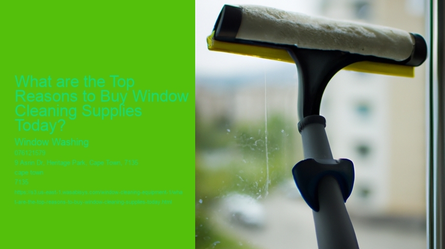 What are the Top Reasons to Buy Window Cleaning Supplies Today? 