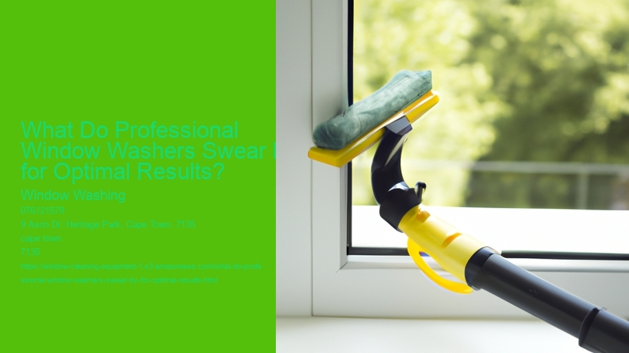What Do Professional Window Washers Swear By for Optimal Results? 