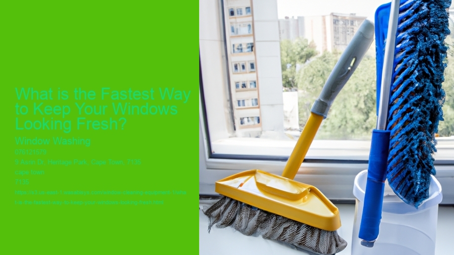 What is the Fastest Way to Keep Your Windows Looking Fresh? 