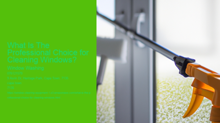 What Is The Professional Choice for Cleaning Windows? 